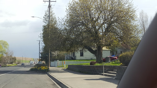 Holzer Park - Thumbnail