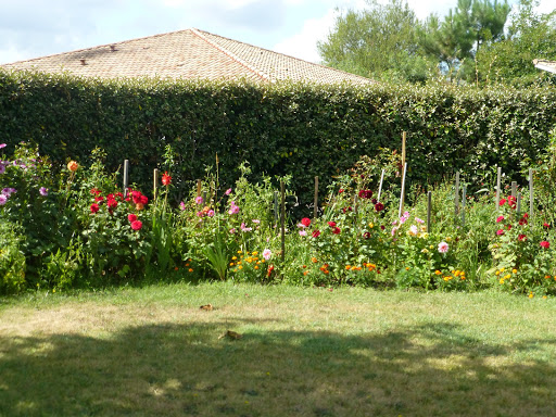 Agence immobilière Laforêt Biganos - Thumbnail