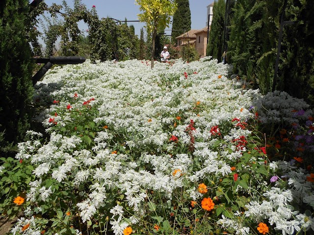 Generalife Gardens