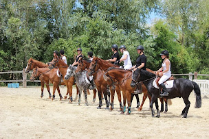Photo n°21 de ECURIE SOPHIE MARCHAND à Saulx-les-Chartreux (Centre équestre)
