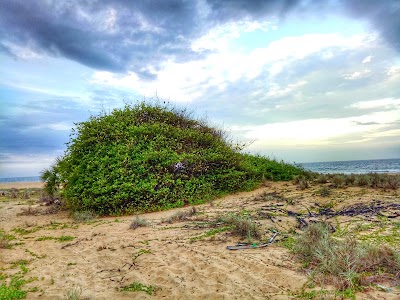 Photos of Light House Beach Hut
