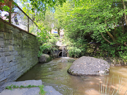 Dorfweiher Ermengerst - Thumbnail