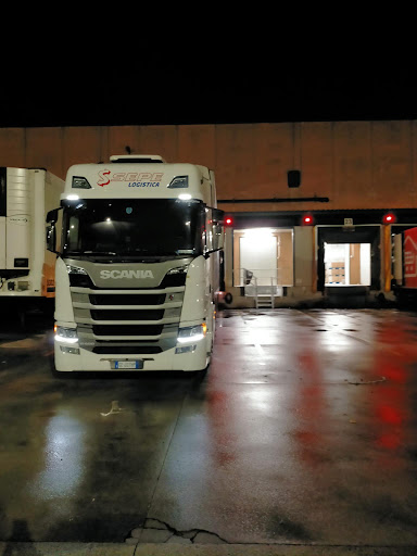Logistica Sepe Group - Parma - Visual
