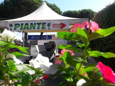 Photos of Castellana Green Expert