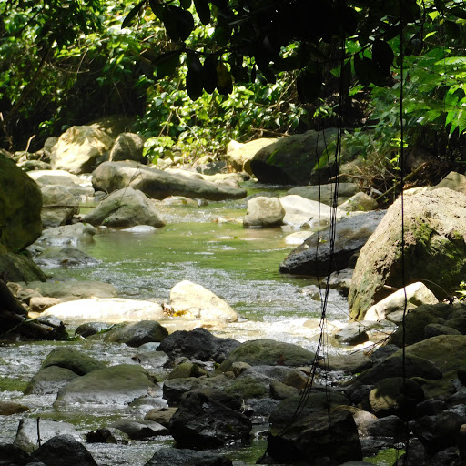 SIERRA ZOQUE TURISMO DE AVENTURA Y TURISMO RURAL - Thumbnail