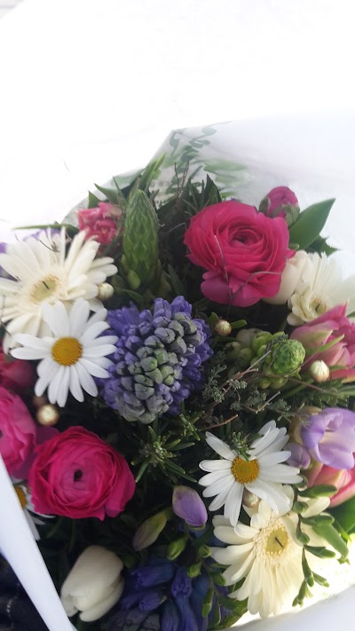 Photos of Blumen Sagawe