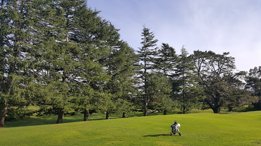 Te Awa Park - Thumbnail