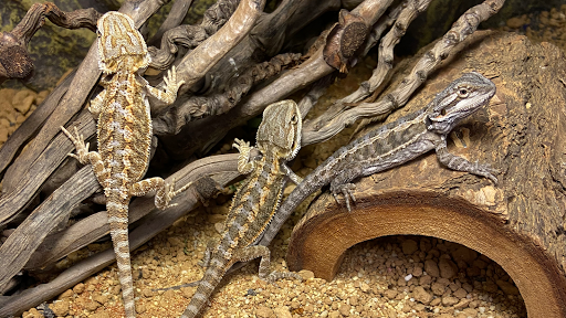 Tails and Scales Pet Centre - Thumbnail