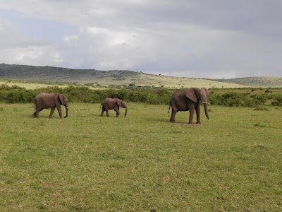 Photos of Mara Sarova Petrol Station