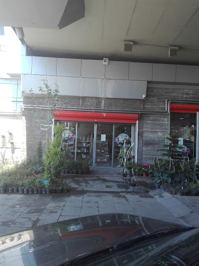 Photos of Refah Shopping Center