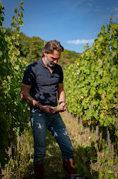 Photo n°1 de Domaine Zinck à Eguisheim (Établissement vinicole)