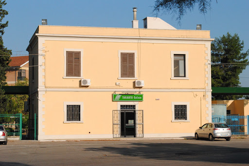 Taranto Galese - Visual