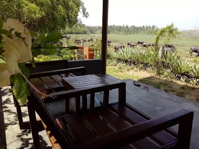 Photos of Kalamatiya Lagoon