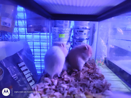 Acuario y alimentos "El Patrón" - Thumbnail