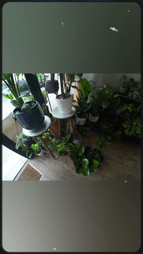 Reviews of The Travel Café - Islington in London - Coffee shop