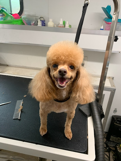 Sittin Pretty Mobile Dog Grooming