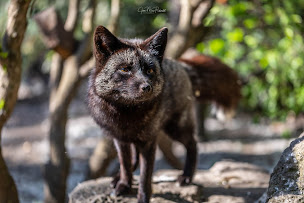 Photo n°9 de Les animaux et Marino Refuge Hébergements insolites à Saint-Andiol (Maison d'hôtes)