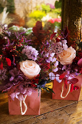 Photo n°20 de Patchouli à Pagny-sur-Moselle (Service de plantes d'intérieur)