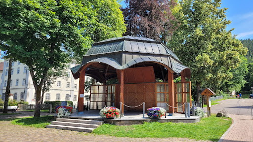 Kurpark St. Blasien - Thumbnail