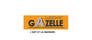 Photo n°3 de Gazelle Ludovic à Gleizé (Couvreur)