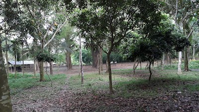 Photos of Faridpur Ta Bazar
