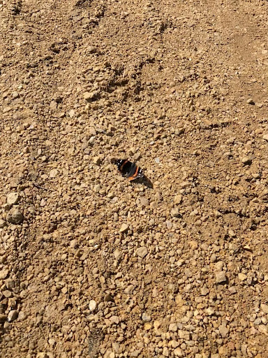 LV trailhead - Visual