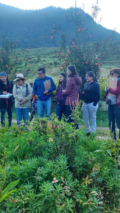 Photos of Parque Verde Y Agua