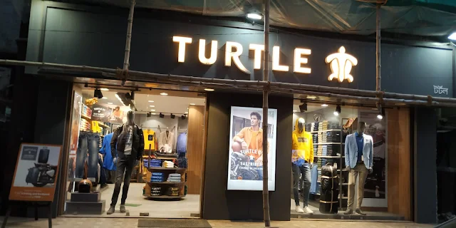 Turtle photo 1