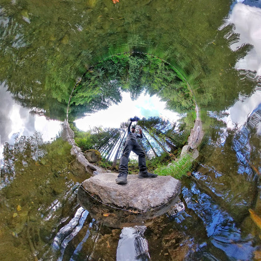 Silver Fox 360 - Visual