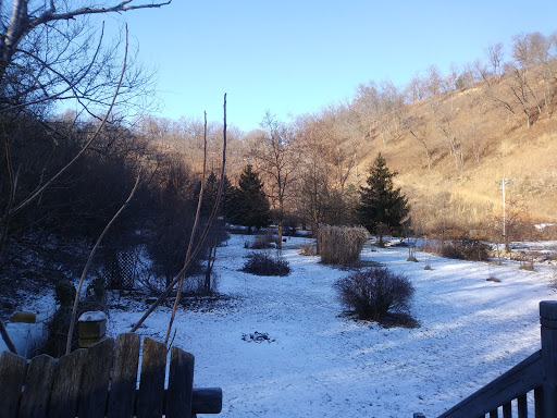White Pine Cottage - Visual