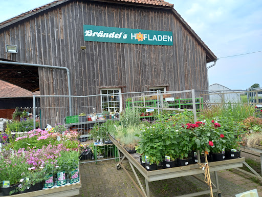 Brändel's Hofladen