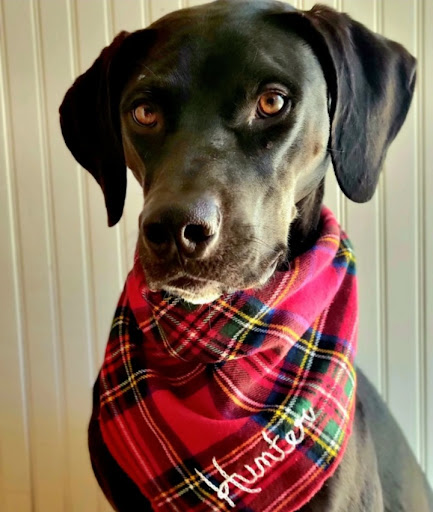 The Plaid Badger - Thumbnail
