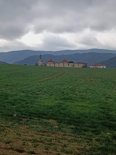 Col. Pala - Visual