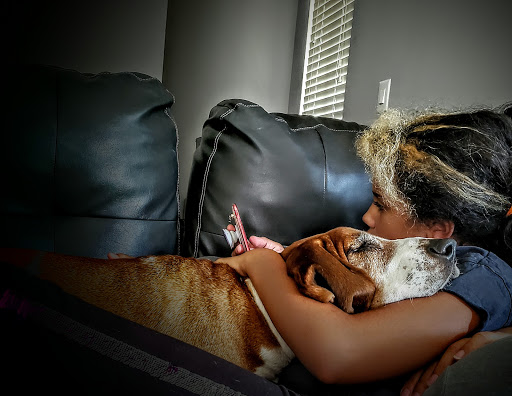 West Caldwell Animal Hospital - Thumbnail