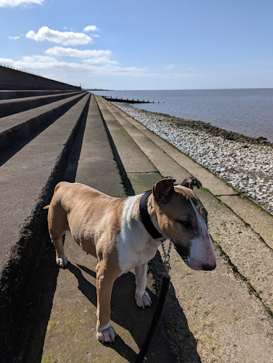 SILLOTH LIGHTHOUSE - Visual