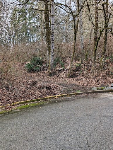 Bates Trail - Visual
