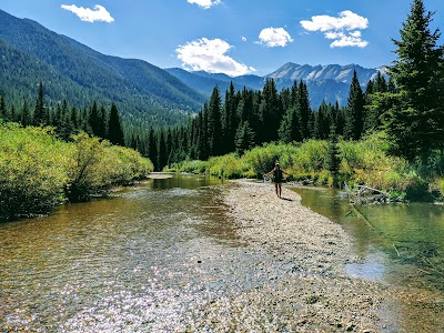 Flathead National Forest