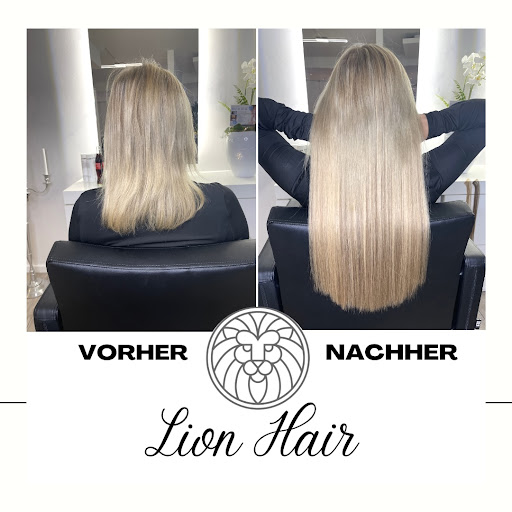 Lion Beauty - Thumbnail