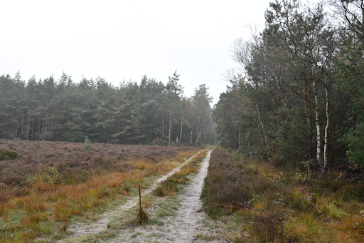 Startplaats wandelen Staatsbosbeheer - Thumbnail