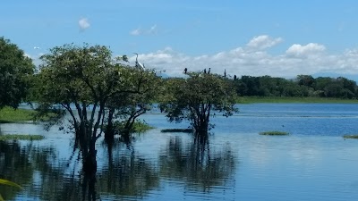 Photos of Ci&eacute;naga De Palagua