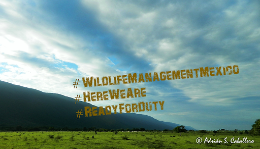 Wildlife Management Mexico