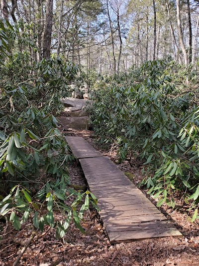 Ell Pond Preserve Trailhead