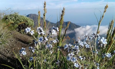 Photos of Trekking Organizer