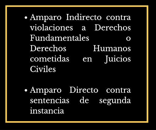 LIC. JULIO CÉSAR GÜITRÓN GALLARDO ((EXPERTO EN DERECHOS HUMANOS)) - Thumbnail