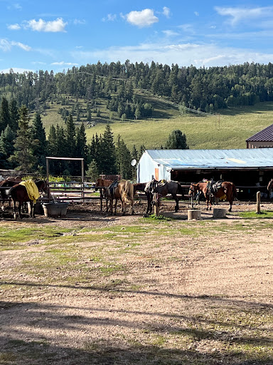Moreno Valley Cowboy Evenings - Thumbnail