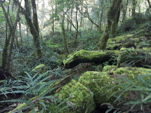 Quebrada de San Lorenzo, Author: Gonzalo Rivero