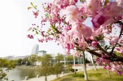 Photos of Changzhou University