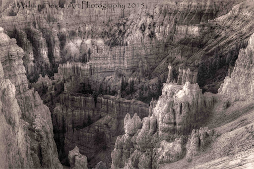 William Fields Art Photo - Thumbnail
