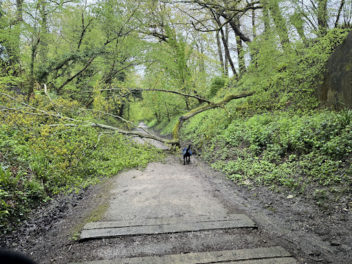 Worth Way Country Park Gallery - United Kingdom