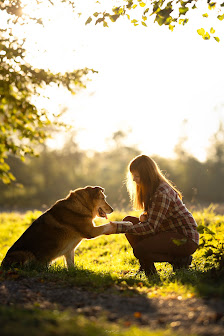 HumanDog-Center - Ybbs an der Donau